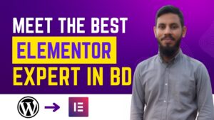 Best elementor expert